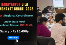 Zila Panchayat Narayanpur Vacancy 2025