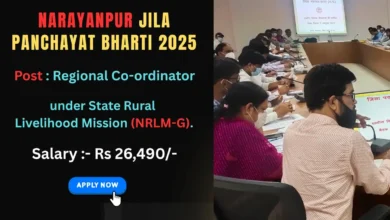 Zila Panchayat Narayanpur Vacancy 2025